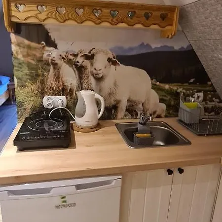 Agatka Δωμάτια σε οικογενειακή κατοικία Ζακοπάνε