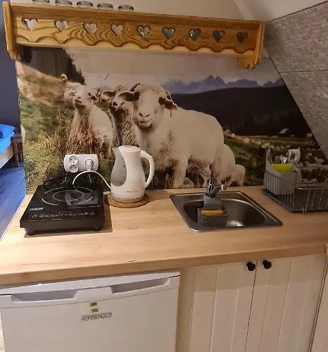 Agatka Quarto em Acomodações Particulares Zakopane